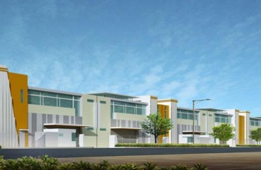 Kho ngoại quan Maple Tree